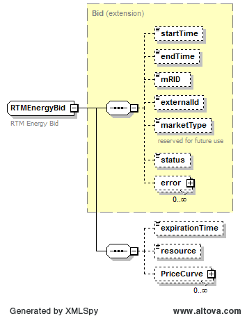 Real Time Market Energy Bid Structure